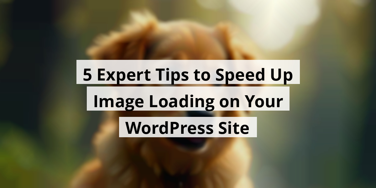 5 Expert Tips to Speed Up Image Loading on Your WordPress Site
