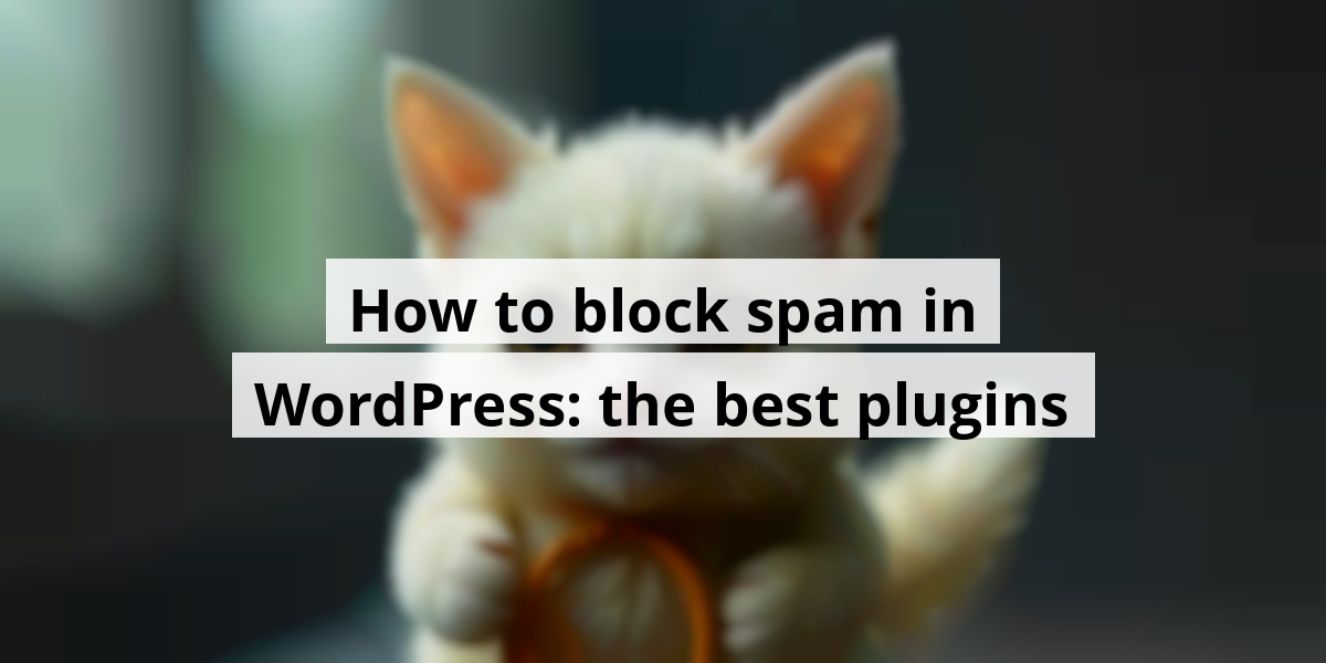 How to block spam in WordPress: the best plugins