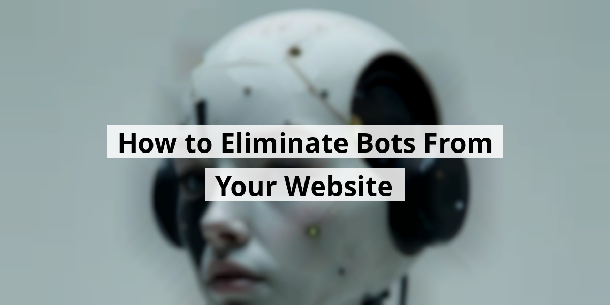 How to Eliminate Bots From Your Website