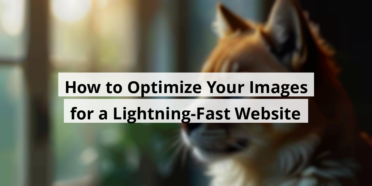 How to Optimize Your Images for a Lightning-Fast Website
