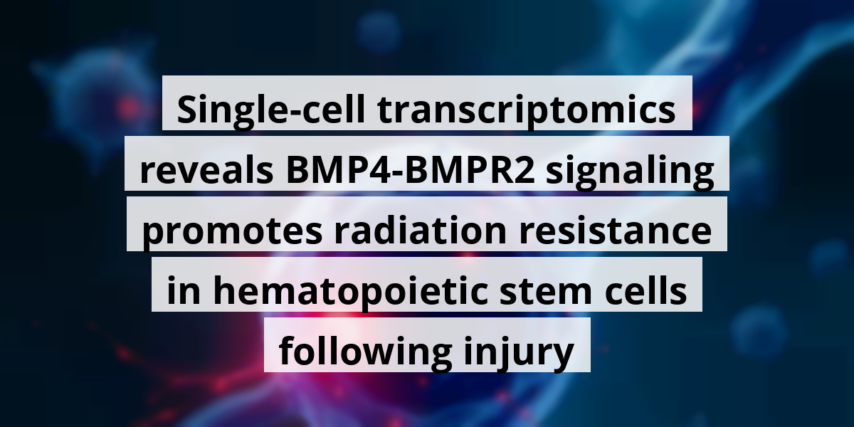 Single-cell transcriptomics reveals BMP4-BMPR2 signaling promotes radiation resistance in hematopoietic stem cells following injury