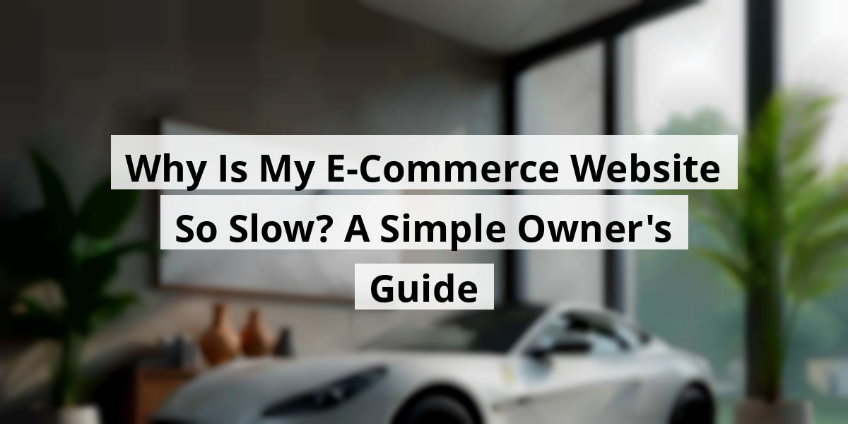 Why Is My E-Commerce Website So Slow? A Simple Owner's Guide